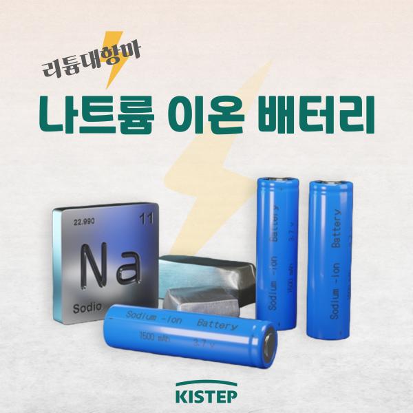 나트륨 이온 배터리